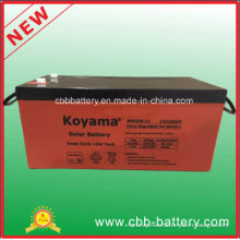 Hot Sale 12V250ah Lead Acid Battery Nps250-12 Solar Power Battery